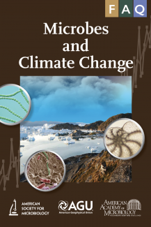 climate change faq flyer