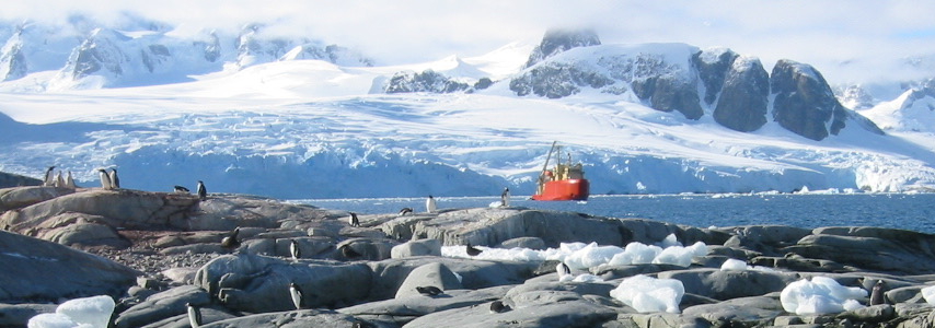 Research in Antarctica