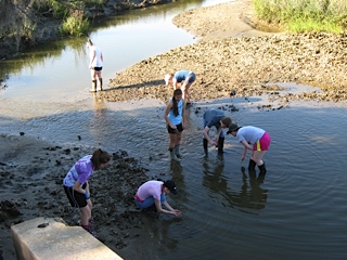 sapelo island marine science day