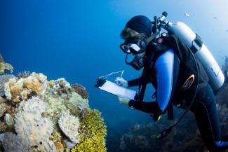 scuba