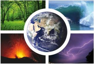 Global Biogeochemical Cycles