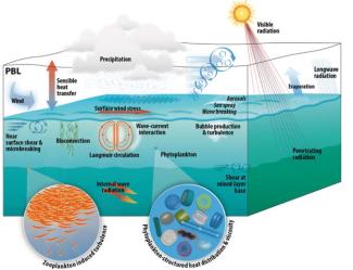 air sea interactions