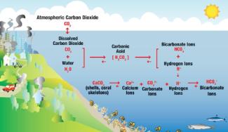 marine chemistry 