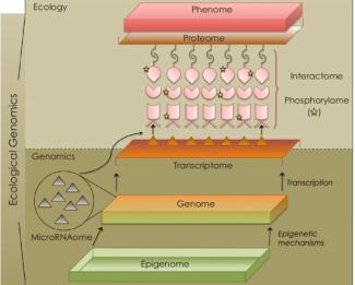 genomics of marine microbes