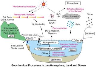 organic geochemistry