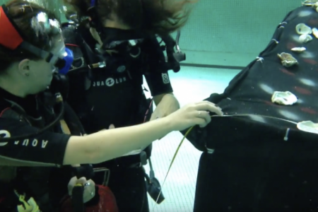 Divers taking notes underwater