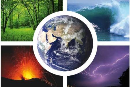 Global Biogeochemical Cycles