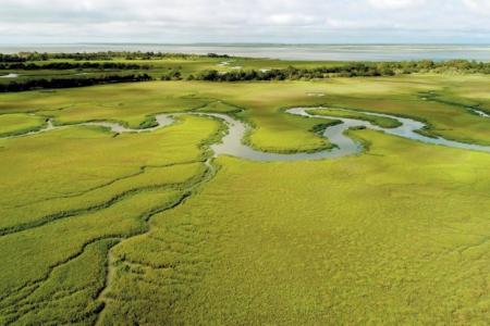 hydrobiology of sapelo