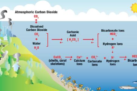 marine chemistry 