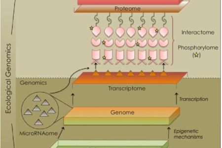 genomics of marine microbes