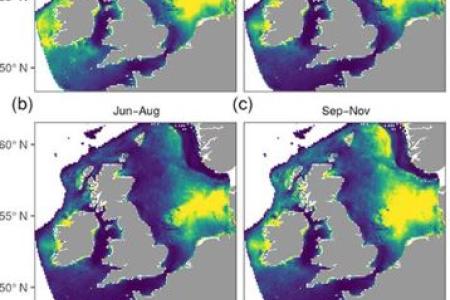 modeling marine systems