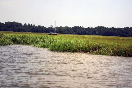 flux tower on sapelo island