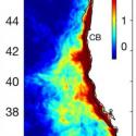 Upwelling jet separation